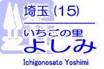 (15) ̗ 悵